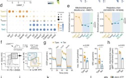插画论文参考文献如何筛选？