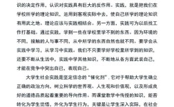 发展社会学论文参考文献如何规范选取？