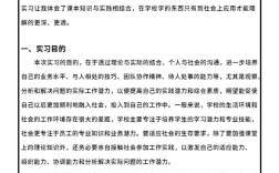 汉语国际教育实习报告，教学实践与文化传播的双向探索与成长反思