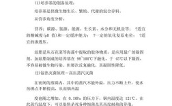 普通面包开发研究的关键点与优化方向？