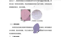 科学艺术教育相关论文