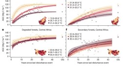 润色删图表和参考文献，SCI论文修改有何不同？