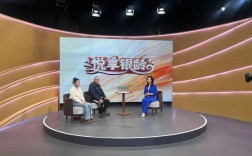 电视谈话节目现状，发展瓶颈、受众需求与转型路径探析