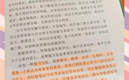 智障障碍教师教育建议有哪些核心要点？