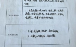 幼儿园教育跟踪，如何助力孩子成长？