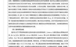 Word2025如何添加参考文献？