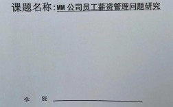 薪酬制度研究毕业论文的核心问题是什么？