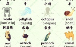 中英动物词文化内涵差异如何体现？