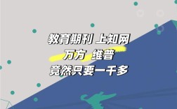 《教育发展研究》官网