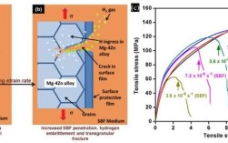 为何研究镁合金腐蚀如此重要？