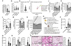 生物热门方向SCI如何高效突破？