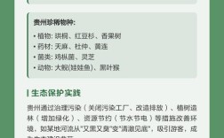 如何有效普及生态文明教育？