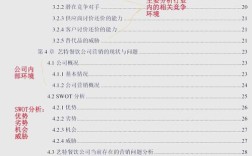 MBA营销策略研究论文的核心创新点是什么？