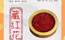 藏红花资源研究现状与未来方向如何？