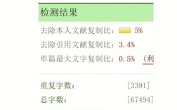 论文参考文献会参与查重吗？