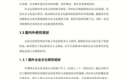 国外企业文化研究文献有何核心焦点？