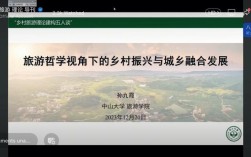 乡村旅游研究学者面临哪些核心挑战？