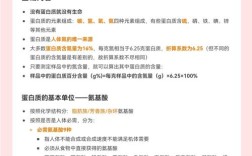 蛋白质与健康有何关联？