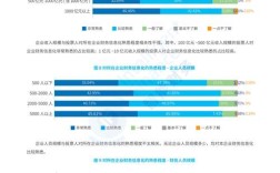 中国财务风险研究史有何演变与启示？