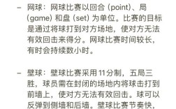 网球运动有哪些核心问题亟待深入研究？