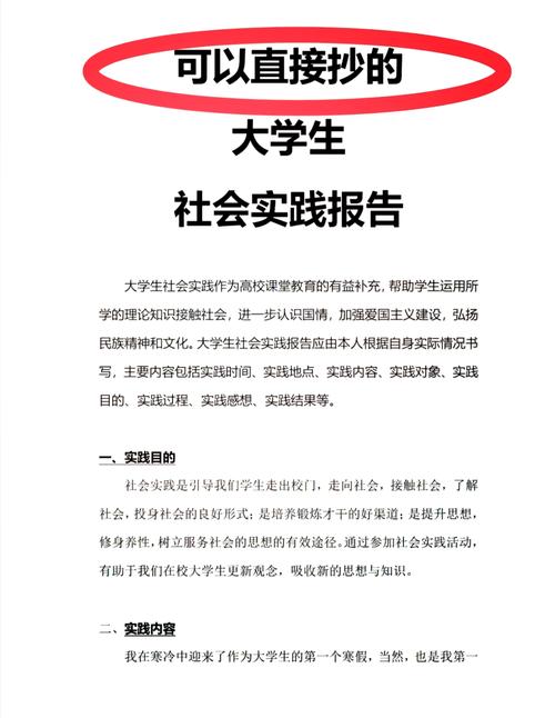 研究生社会实践报告3000字，实践内容与成果如何体现？-图3