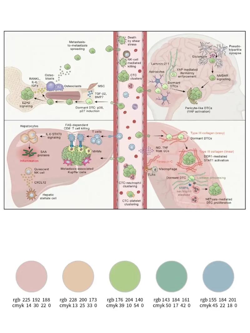 润色删图表和参考文献,SCI论文修改有何不同?-图2 润色删图表和参考文献,SCI论文修改有何不同?-图2