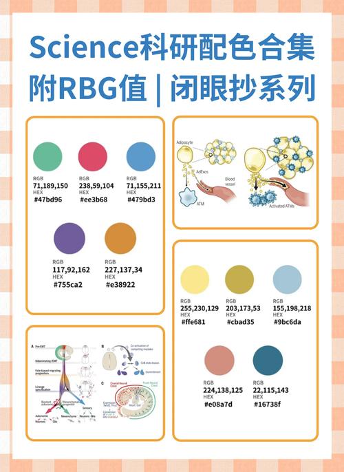 润色删图表和参考文献,SCI论文修改有何不同?-图3 润色删图表和参考文献,SCI论文修改有何不同?-图3