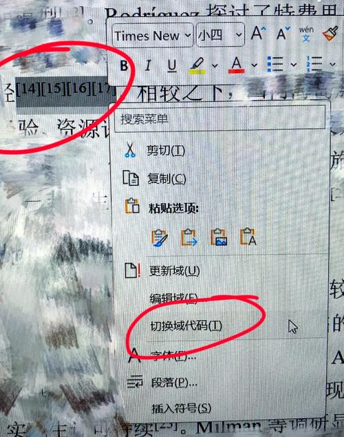 Word2010如何插入参考文献？-图2