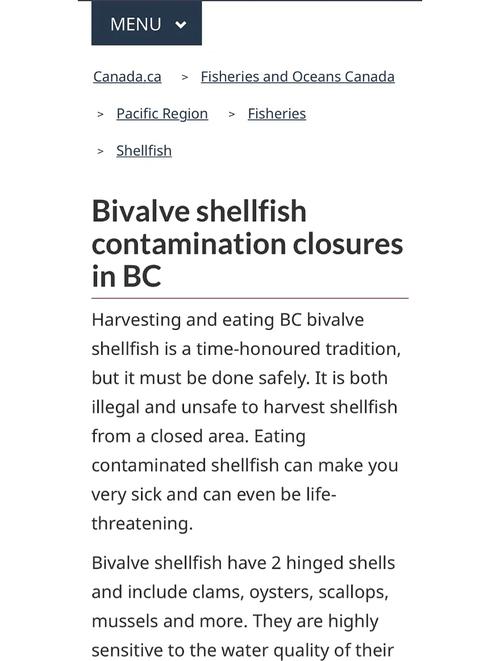 参考文献来源网站新闻eb ol如何规范引用？-图3