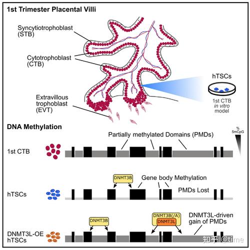 dissertation参考文献如何规范引用？-图3