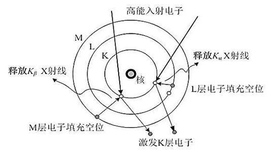参考文献中的eds指什么？-图3