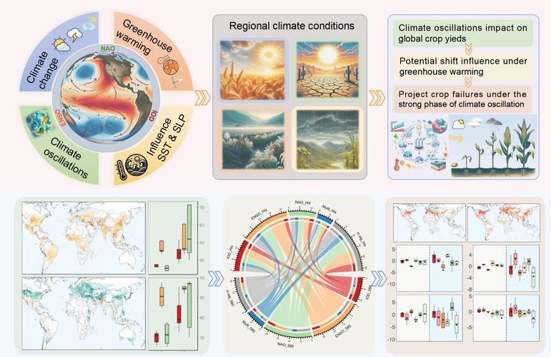 国外信息素养发展如何?-图3 国外信息素养发展如何?-图3