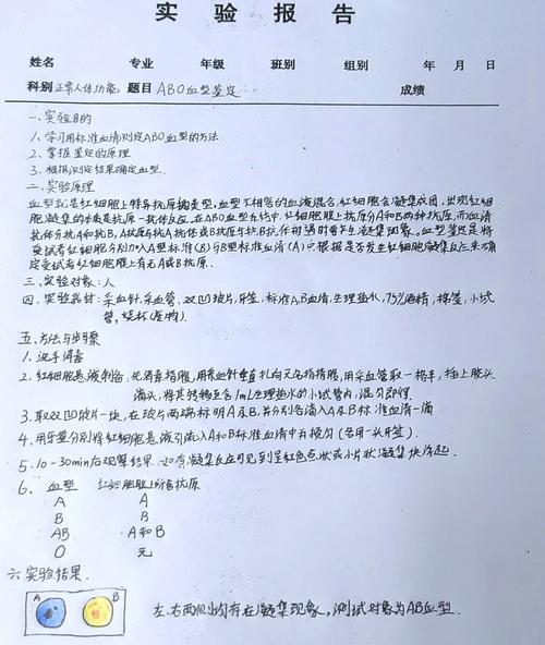 血型研究新发现？日文论文揭示何种关联？-图1