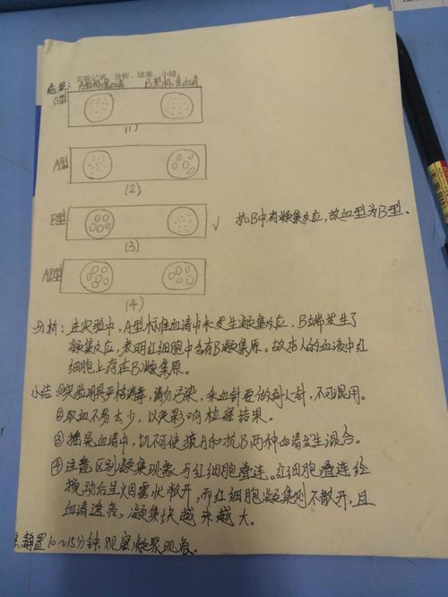 血型研究新发现？日文论文揭示何种关联？-图3