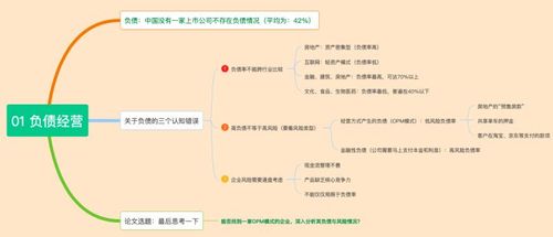 负债经营风险与效益如何平衡?-图2 负债经营风险与效益如何平衡?-图2