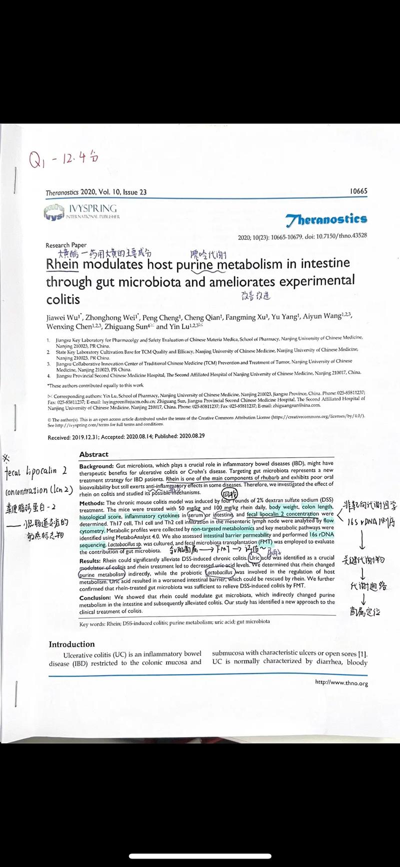 国外网络会计研究文献的核心议题与前沿方向？-图2