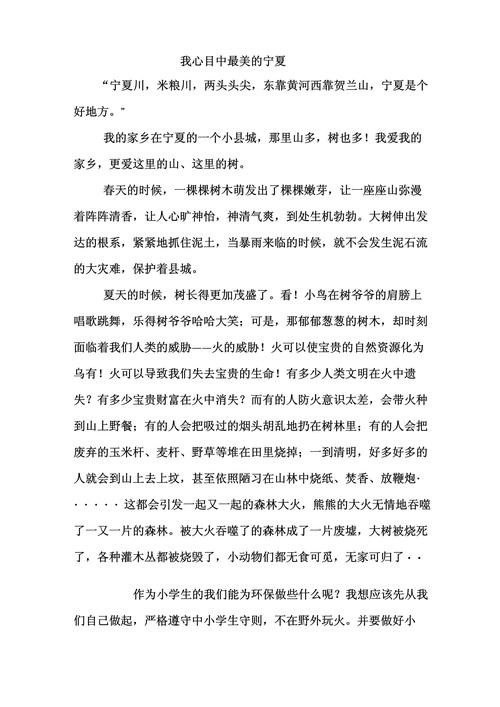 我与宁夏教育3000字-图3