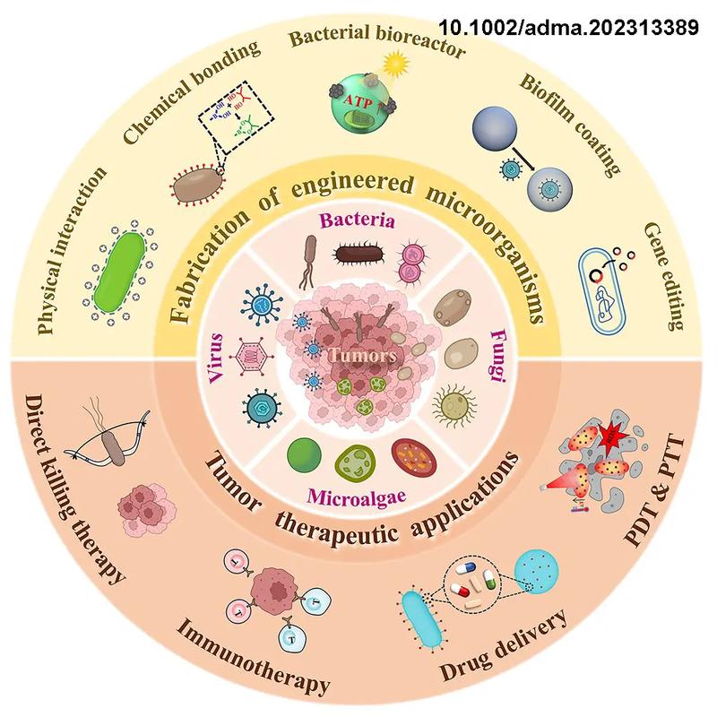 美出版物研究综述聚焦哪些核心议题？-图2