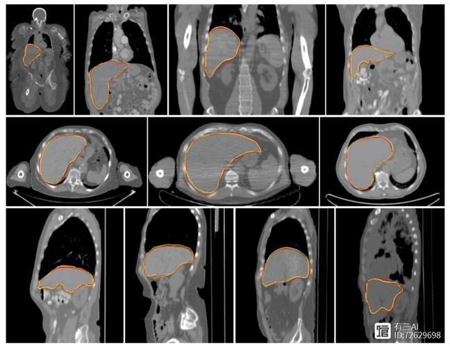 图像隐藏技术如何实现高效安全的信息嵌入？-图3