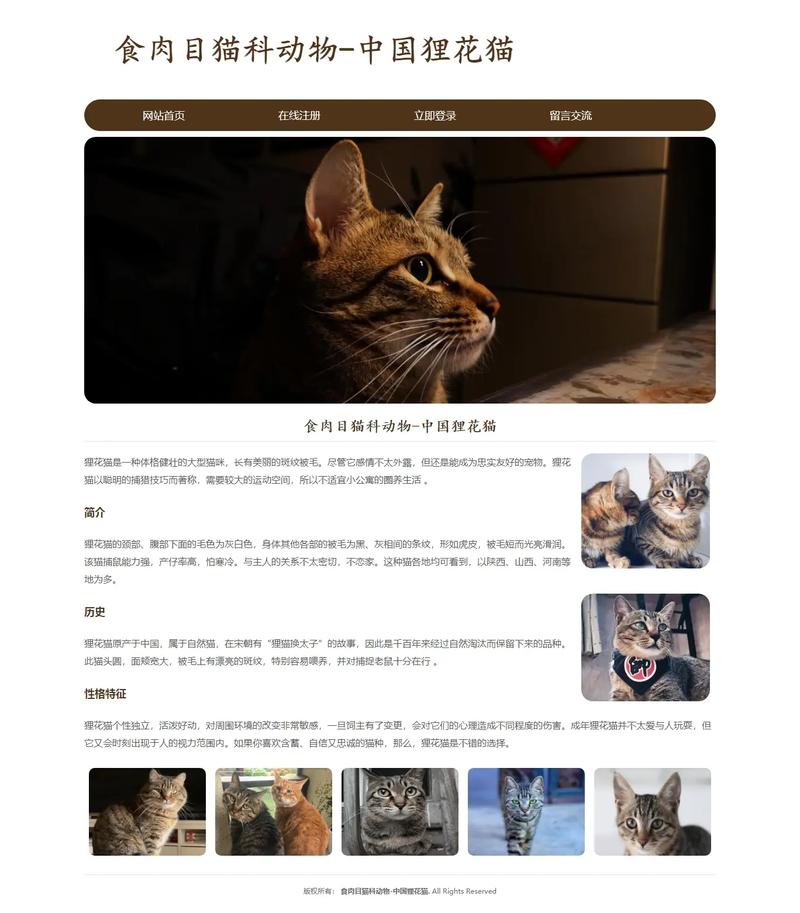 PHP动态网页制作参考文献有哪些？-图3