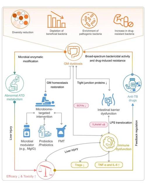 气候与环境研究影响因子最新多少?-图1 气候与环境研究影响因子最新多少?-图1