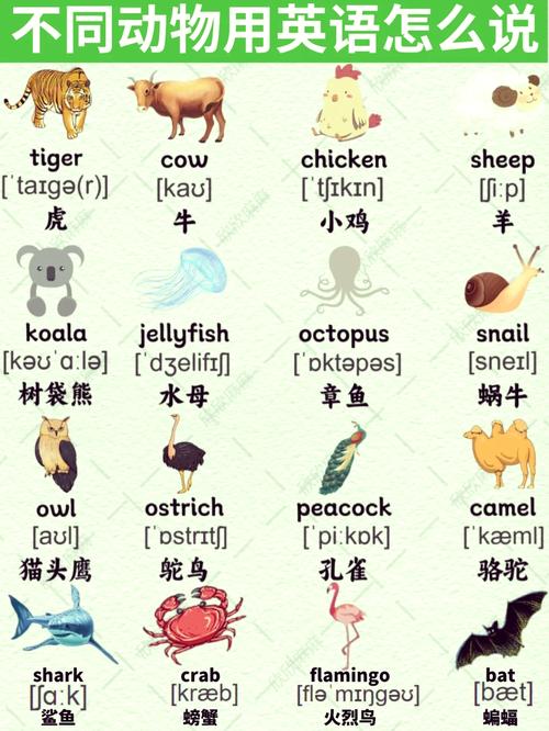 中英动物词文化内涵差异如何体现?-图1 中英动物词文化内涵差异如何体现?-图1