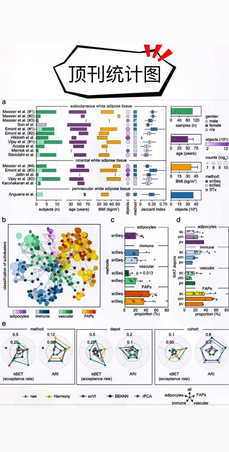 统计研究杂志排版要求有哪些关键点？-图1
