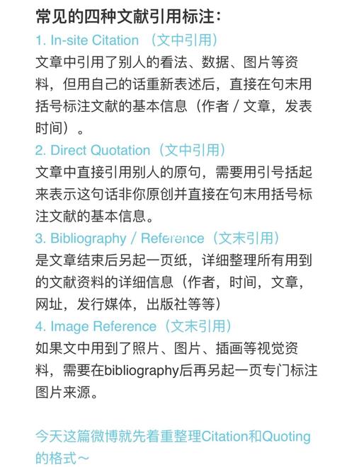 JSP论文英文参考文献翻译有哪些常见难点？-图2