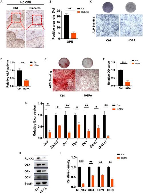 多糖研究顶级期刊有哪些?-图2 多糖研究顶级期刊有哪些?-图2