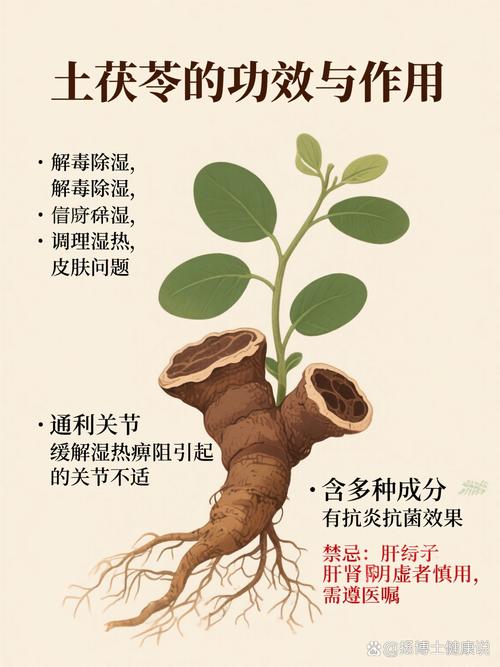 传统中药如何与现代研究碰撞出新可能?-图2 传统中药如何与现代研究碰撞出新可能?-图2