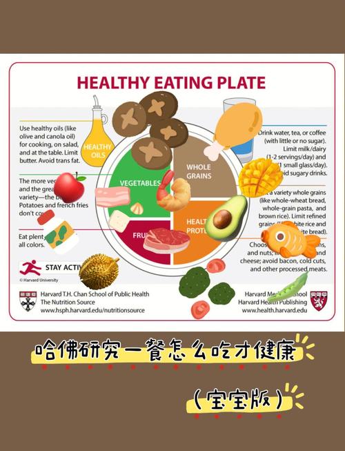 合理饮食的理论成果如何指导日常饮食实践？-图3