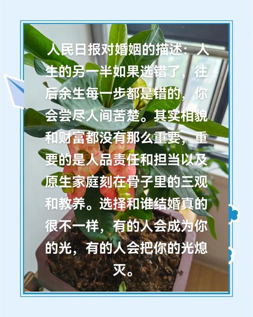 婚姻观爱情观参考文献有哪些核心观点？-图2