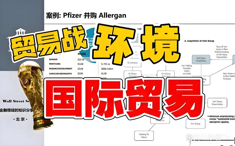 贸易机制存在的问题研究-图3