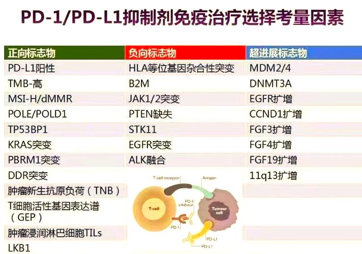 xbrl国内外研究现状-图3
